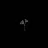 ThEvoid