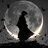 Samir Ramc